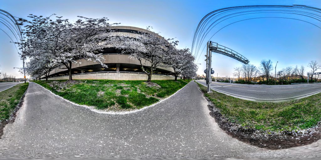 Springtime on Neyland Greenway, Knoxville