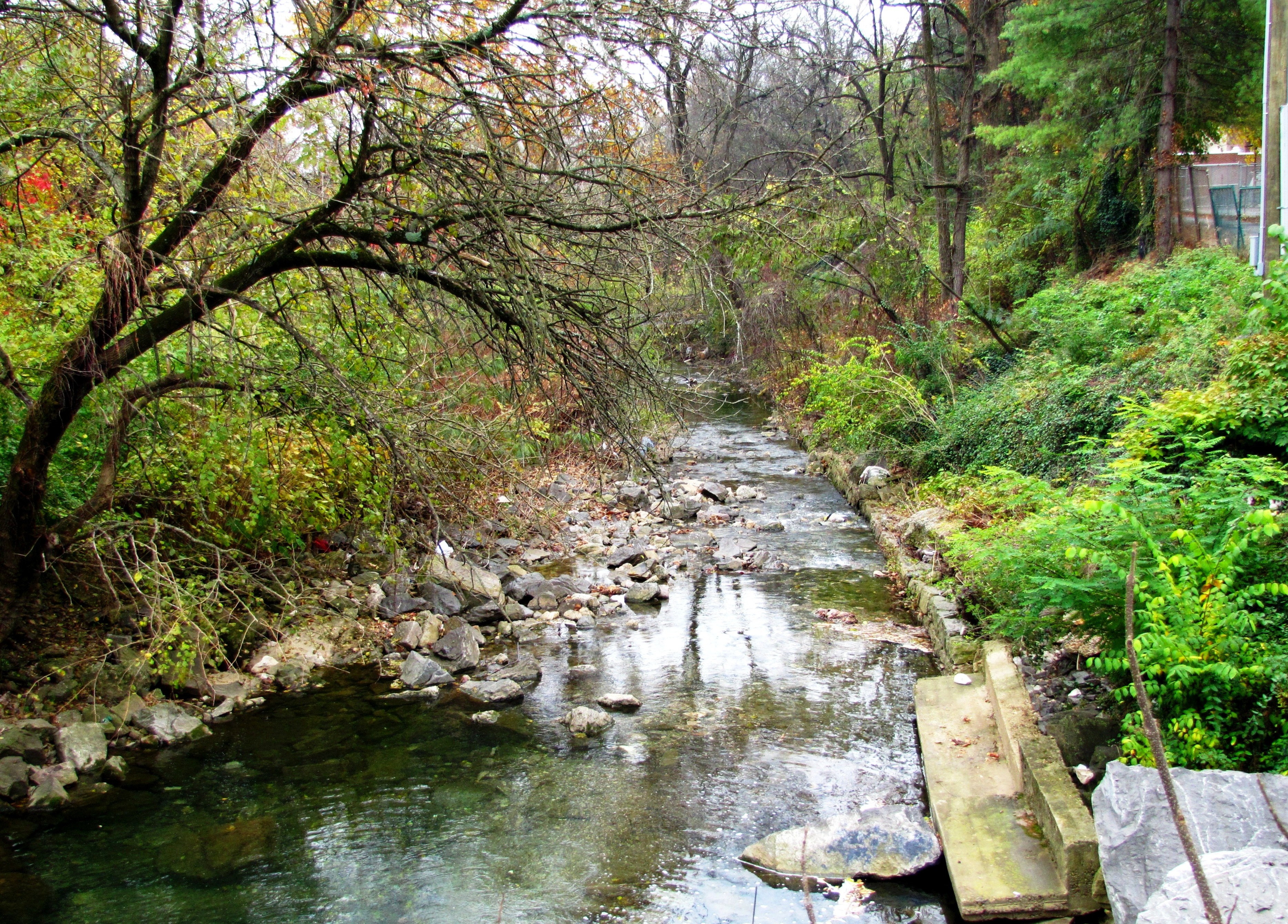 Second Creek, Knoxville