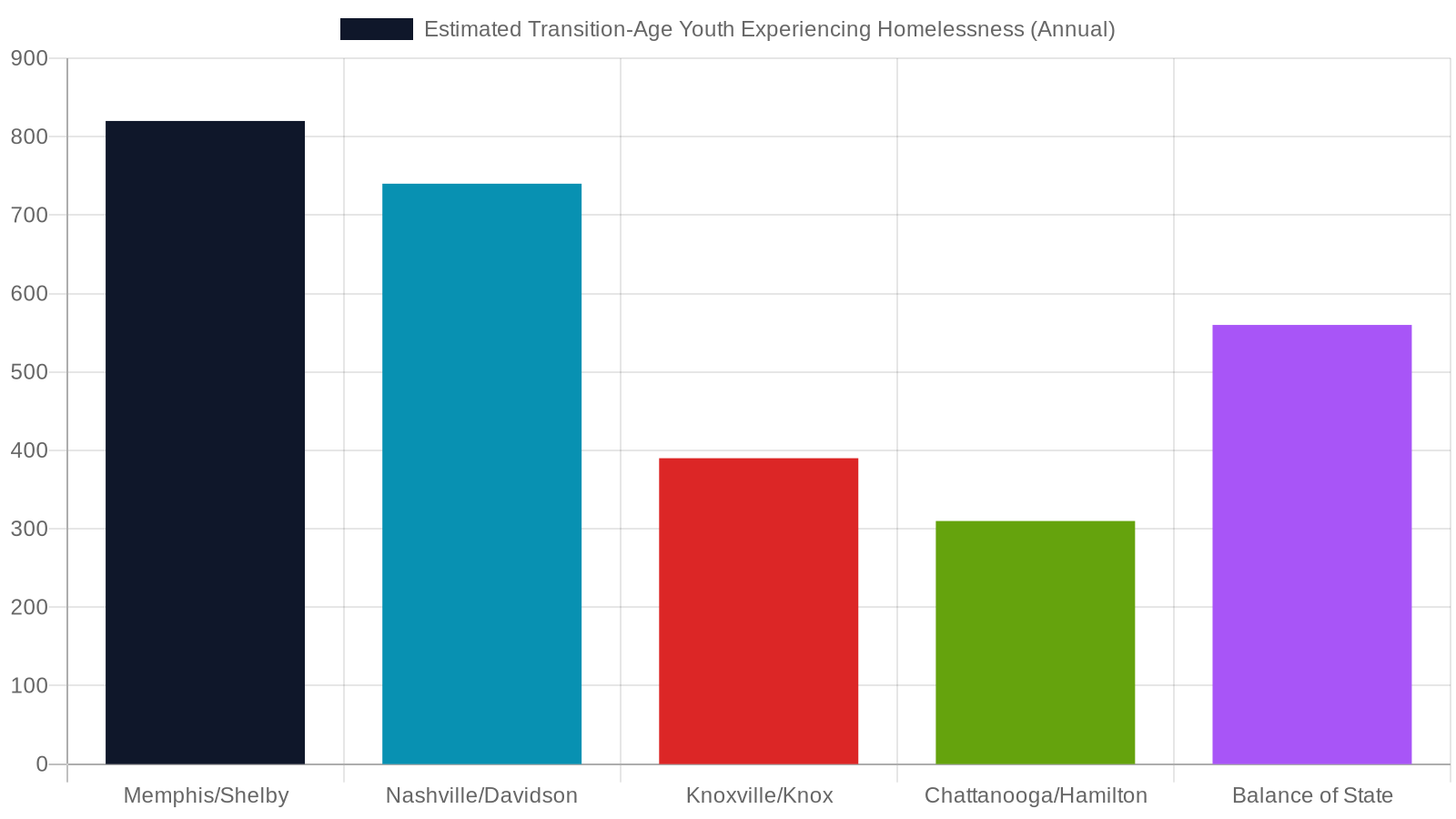 2. The Scale of Youth Homelessness Across Tennessee