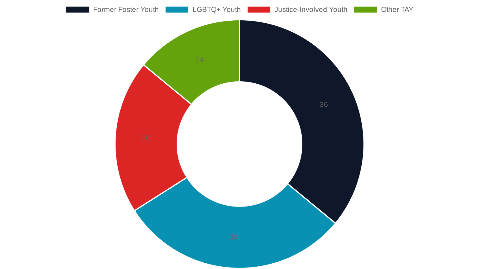 Special Populations: Foster Care, LGBTQ+ Youth, and Justice-Involved Young Adults
