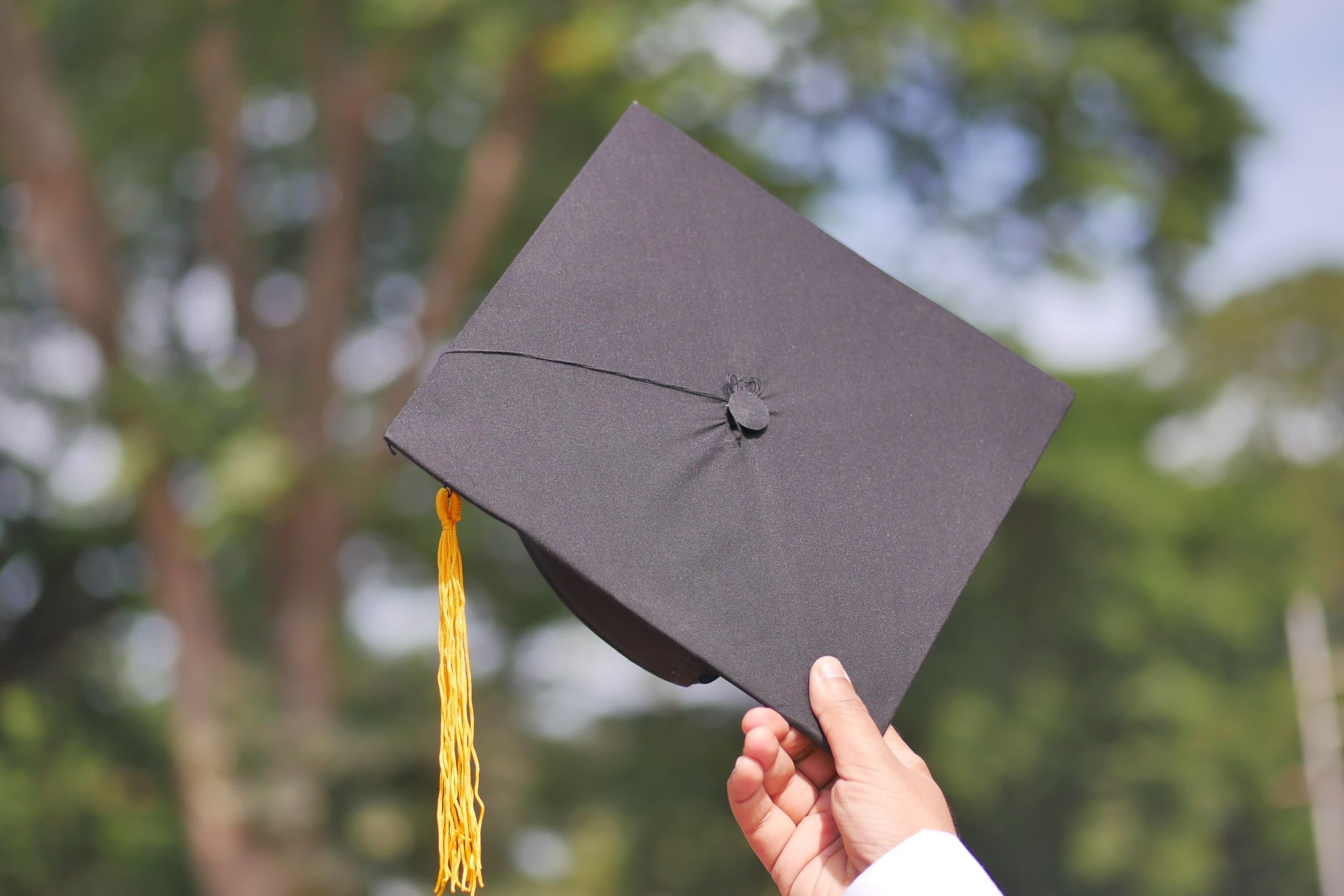 6. Knoxville's Education Pathways — GED, College, and Vocational Training