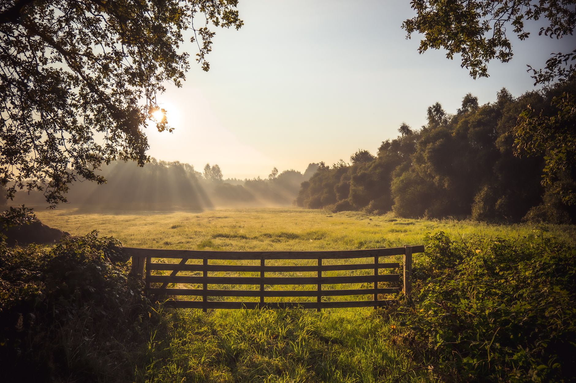 1. What Is YAAB Tennessee and Why Does It Exist?