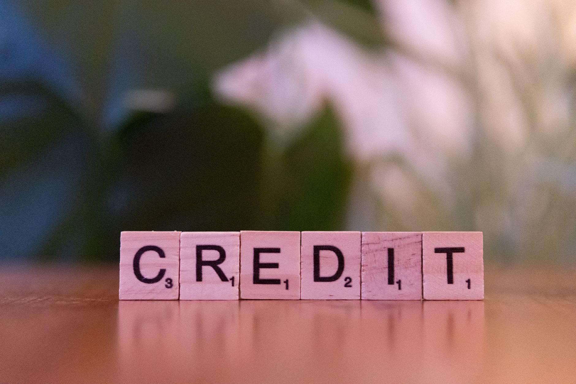 7. Financial Literacy and Building Credit From Zero