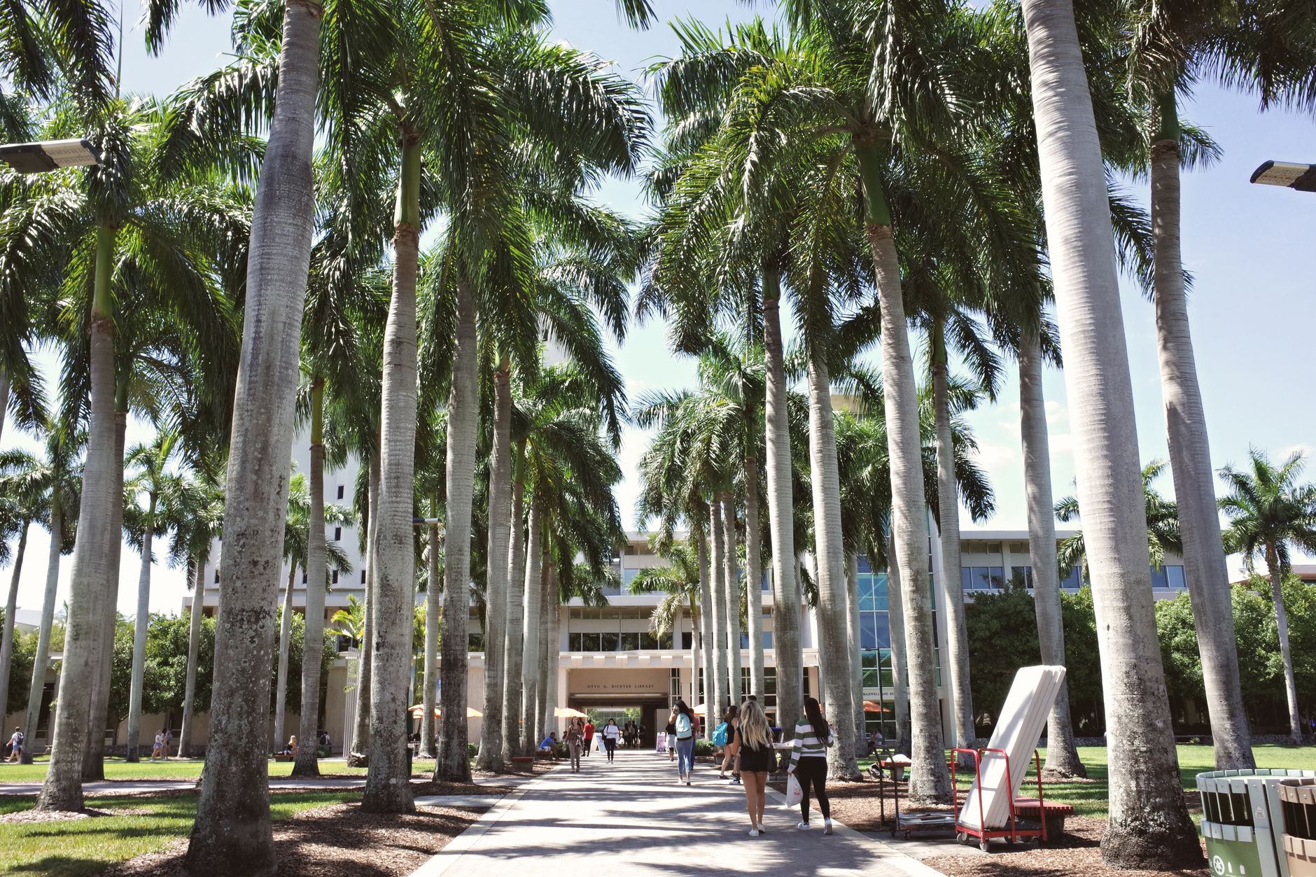 4. Community College Pathways — Earn Credits While You Build