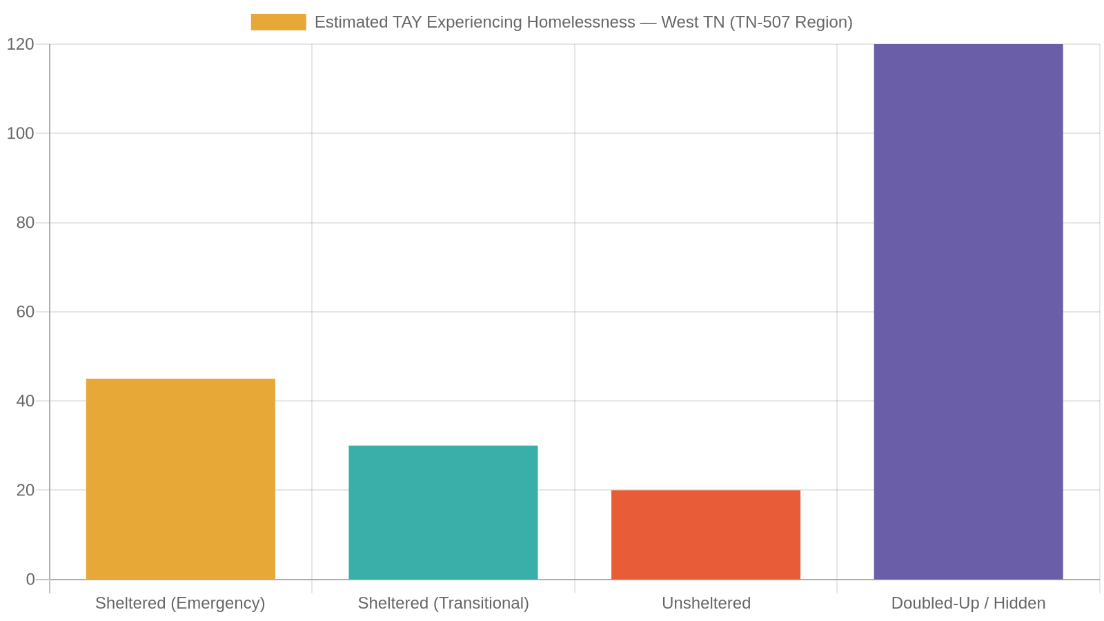 1. Mapping the Real Landscape of Youth Homelessness in Jackson, TN