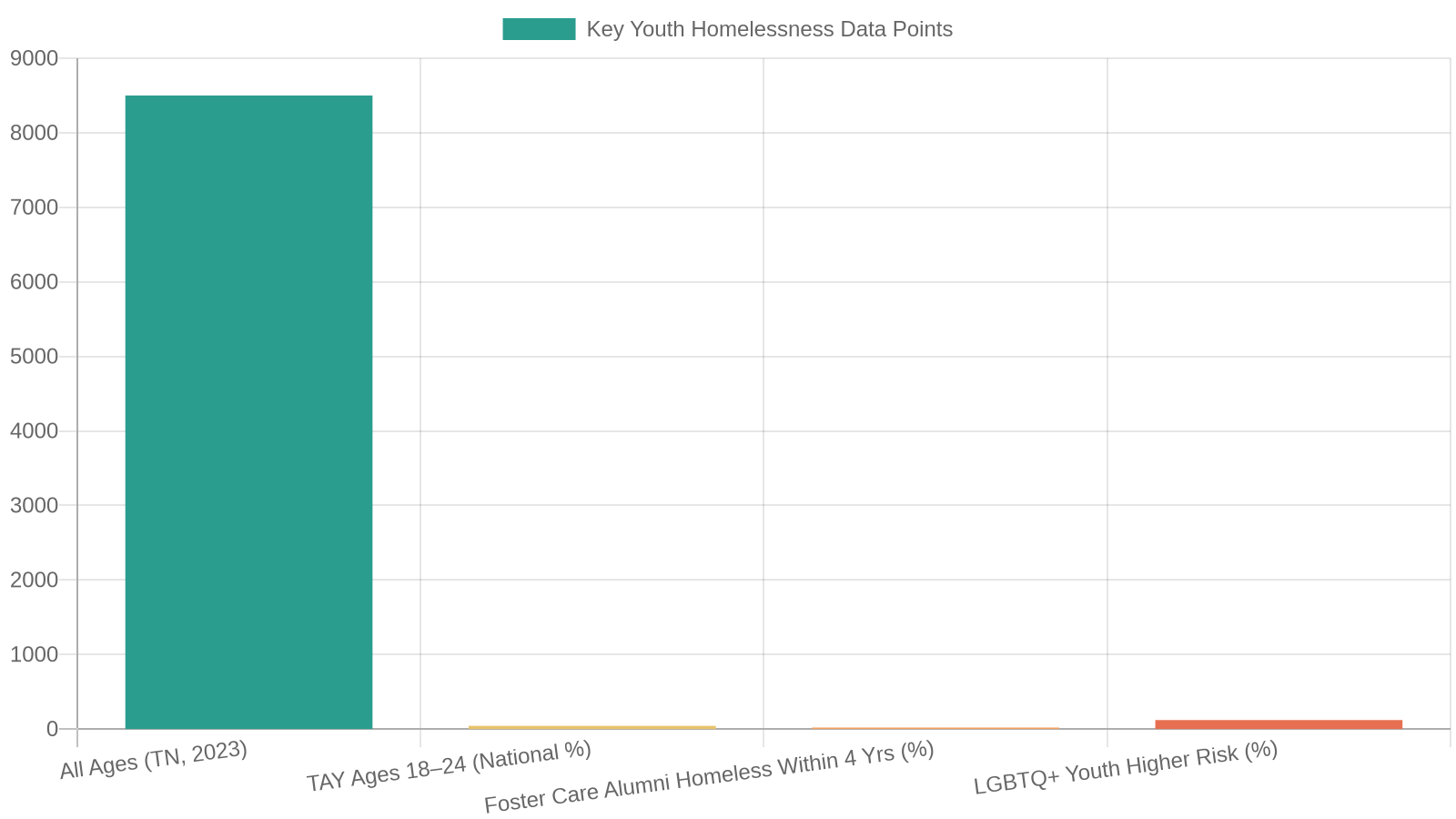 4. The Scale of Youth Homelessness in Central Tennessee