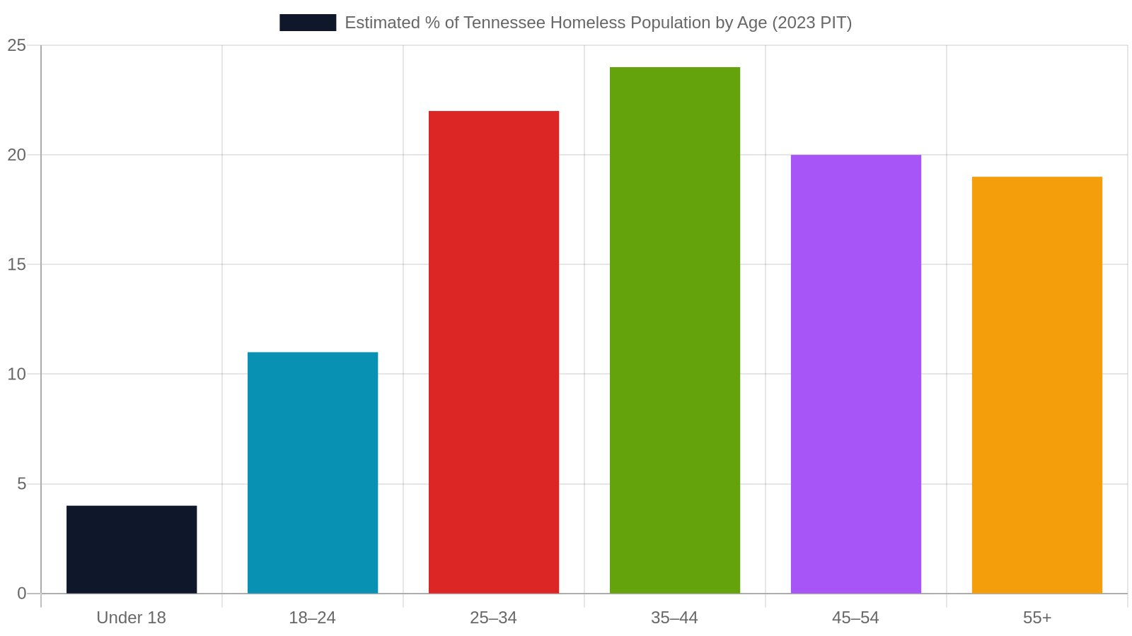 Understanding Youth Homelessness in Tennessee