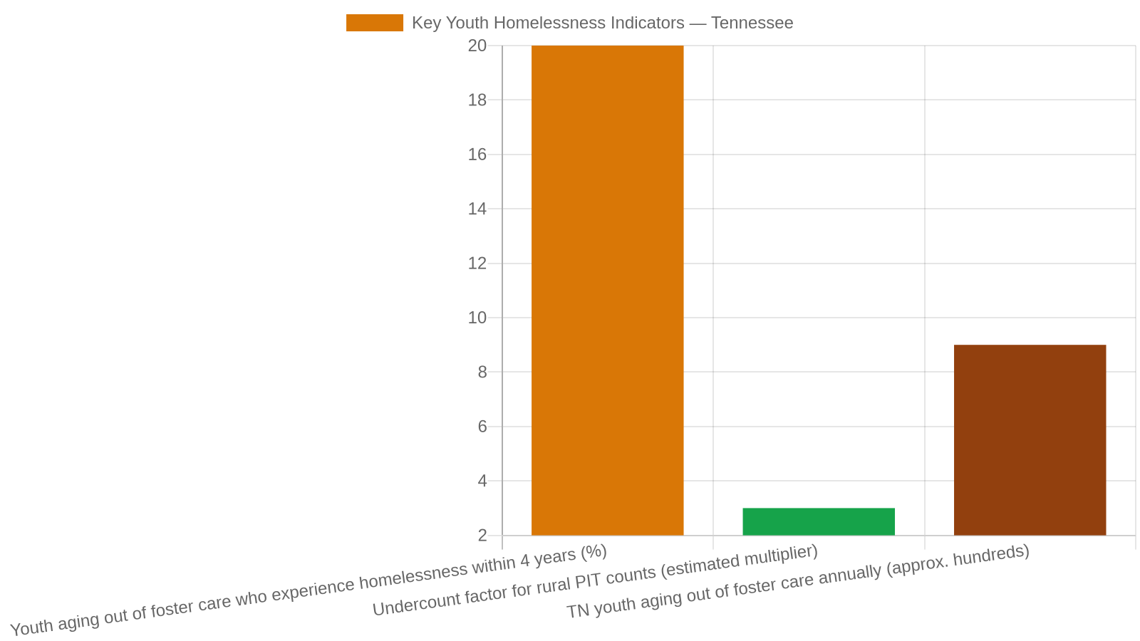 9. What Tennessee's Youth Homelessness Data Tells Us — and Why YAAB Exists