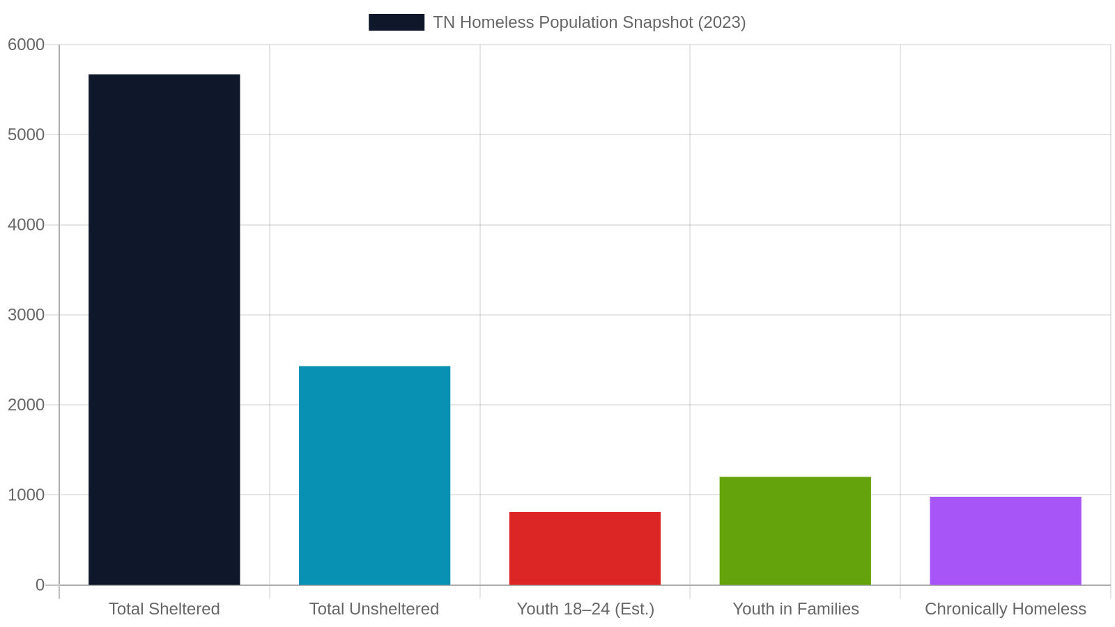 1. Advising the TN-502 Continuum of Care on Youth Needs