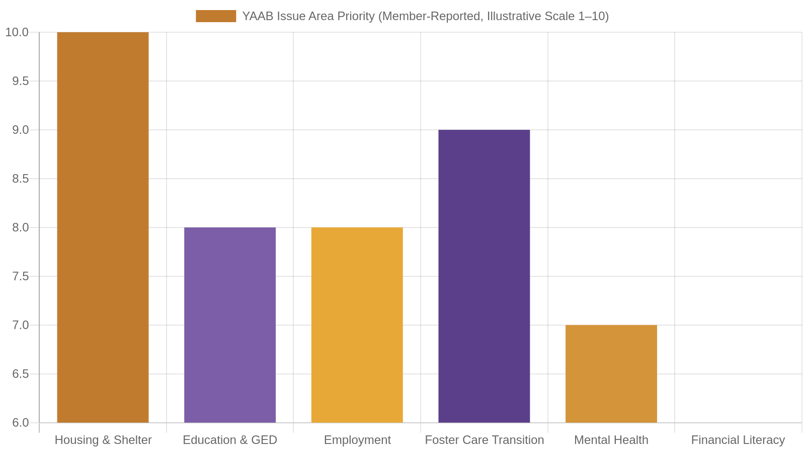 5. The Issues YAAB Focuses On Across Tennessee