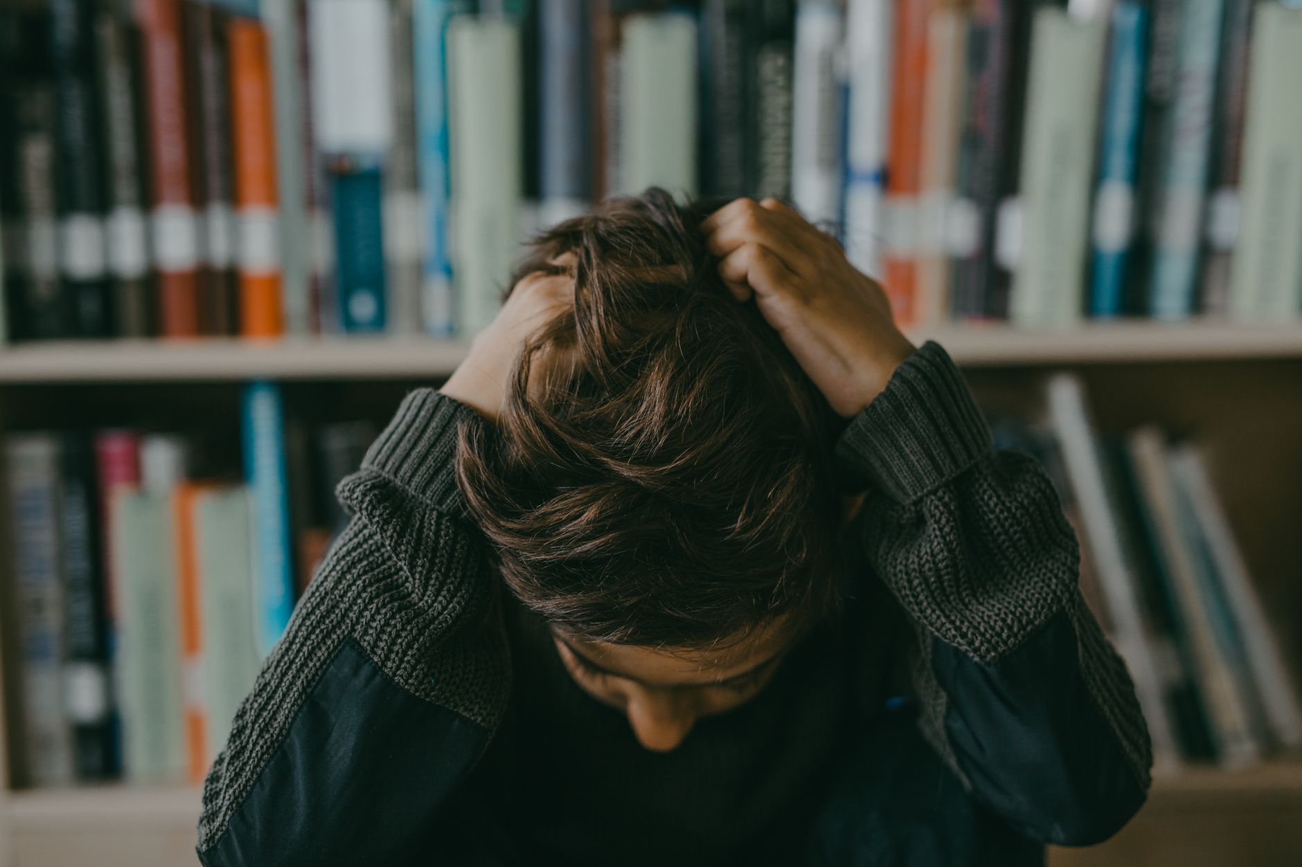 Beyond Housing: Education, Employment, and Mental Health Connections