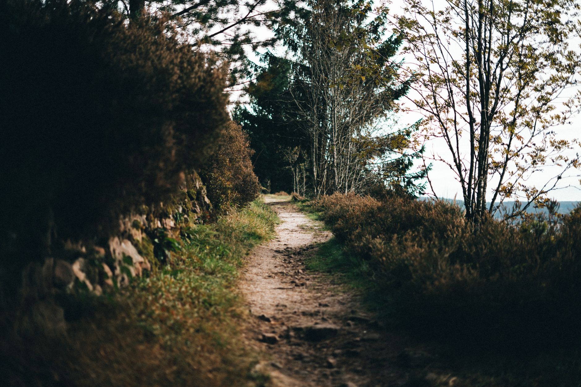 8. Barriers Young Adults Face — and How the YAAB Addresses Them