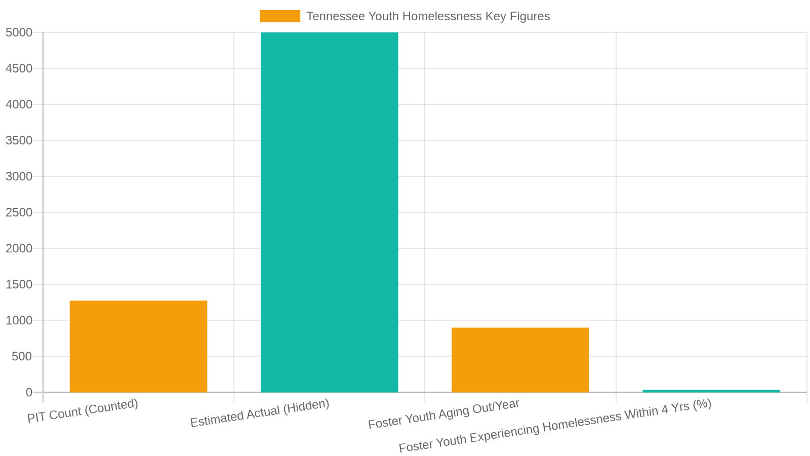 Tennessee's Youth Homelessness Landscape: Key Numbers to Know