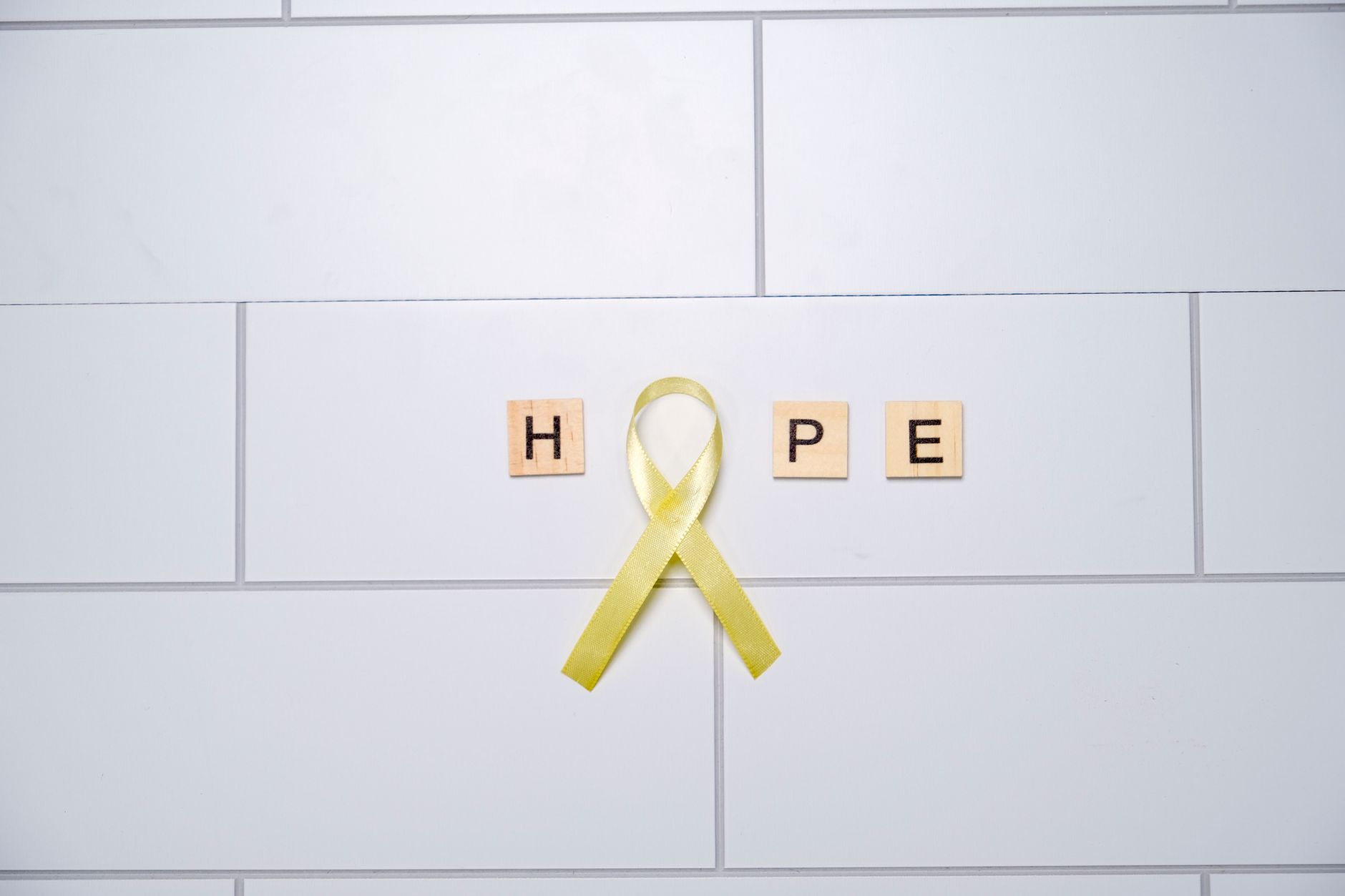 Mental Health and Trauma-Informed Support in Knox County