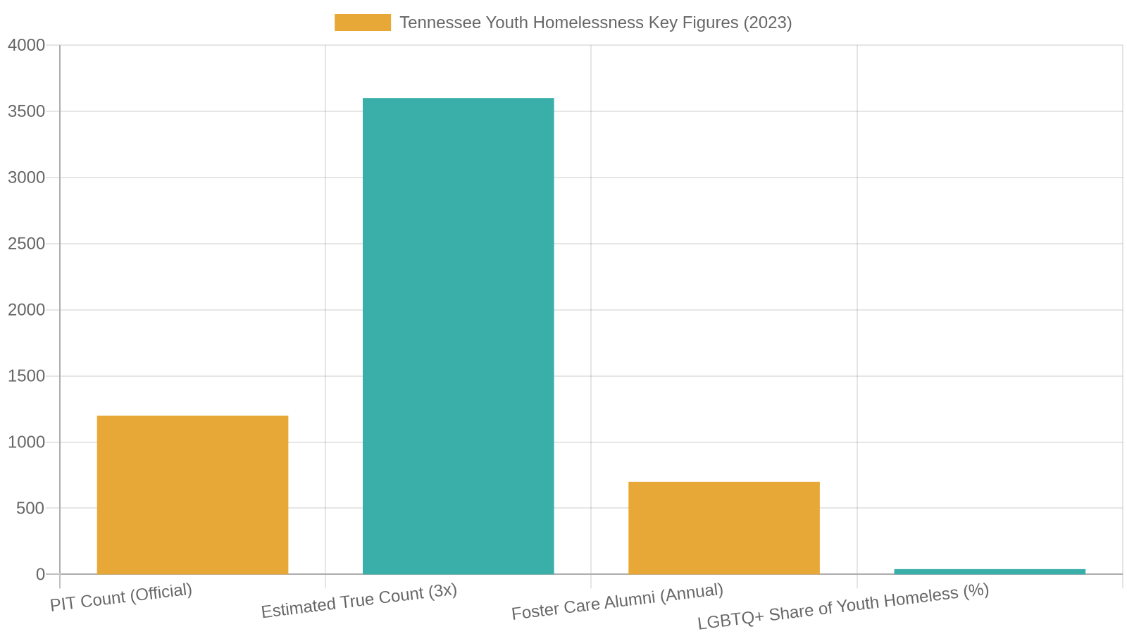 9. Understanding Youth Homelessness in Tennessee: The Numbers Behind the Stories