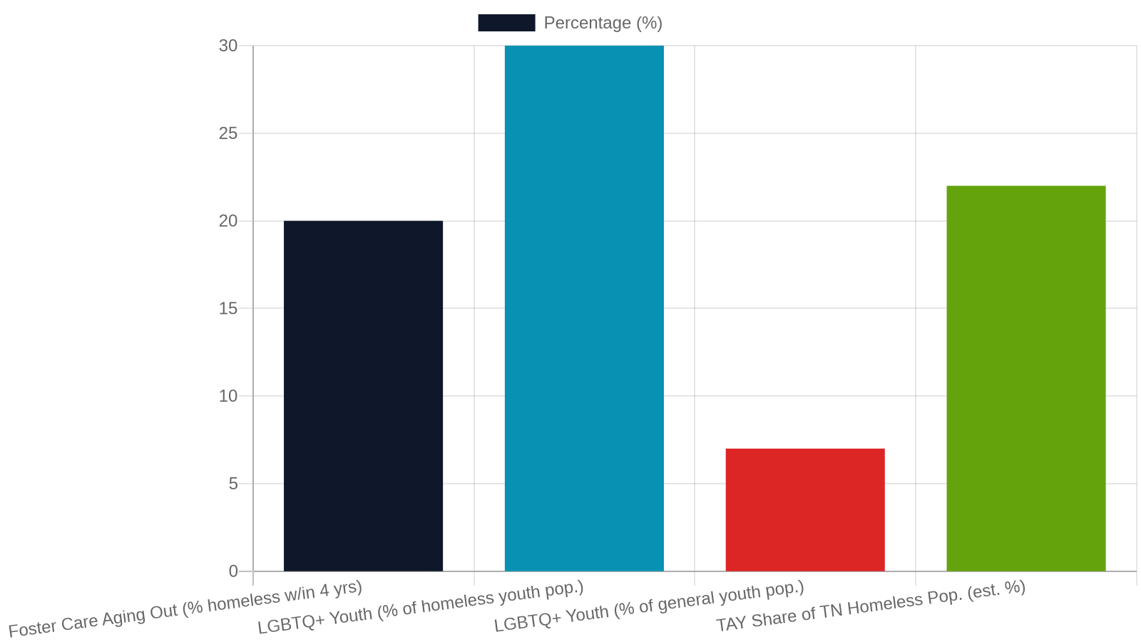 Youth Homelessness in Tennessee: The Scale of the Problem YAAB Is Addressing