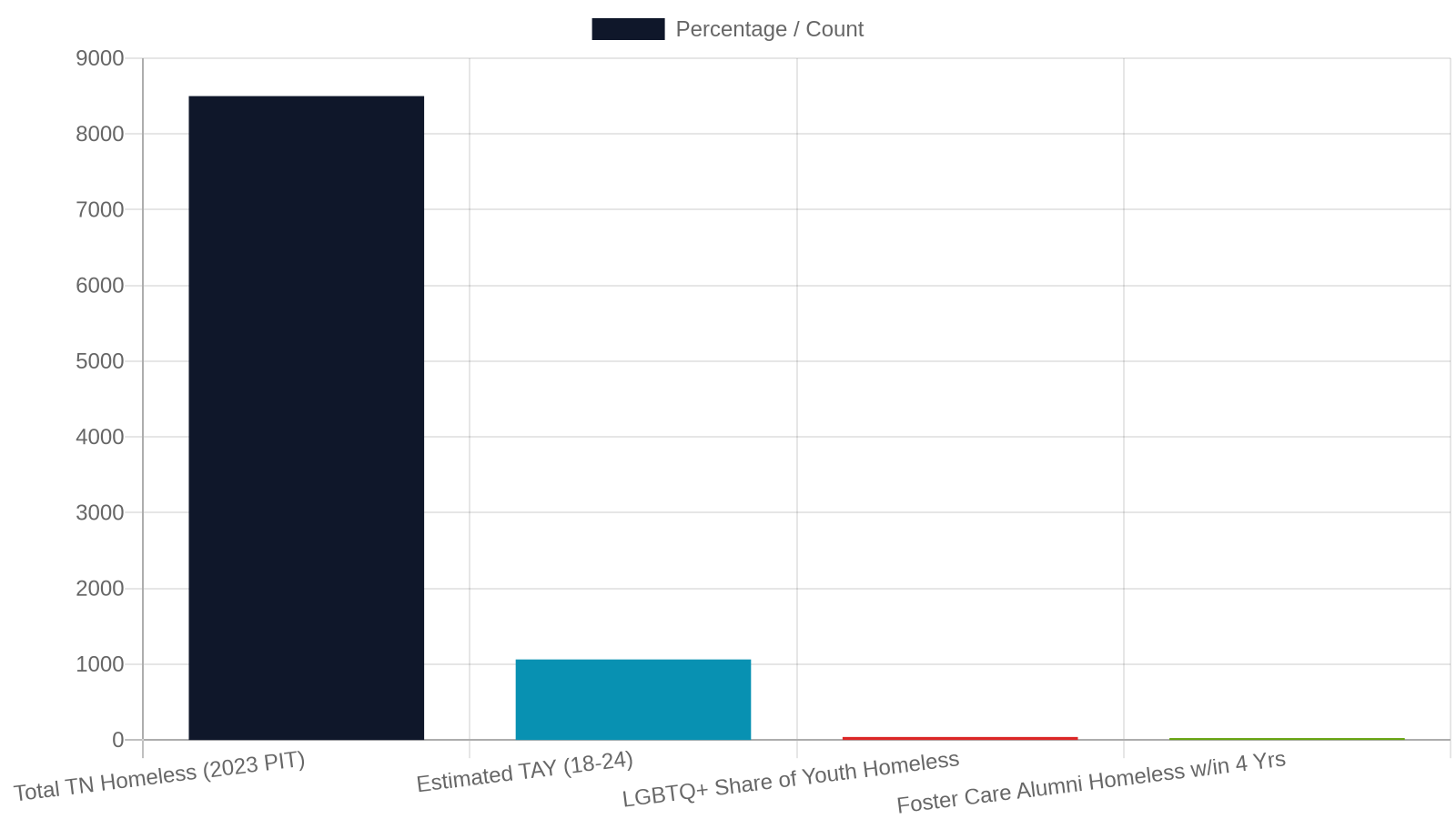Youth Homelessness in Tennessee — the Numbers Behind the Work
