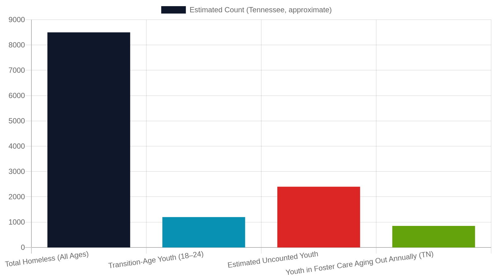 A Look at Youth Homelessness Data in West Tennessee
