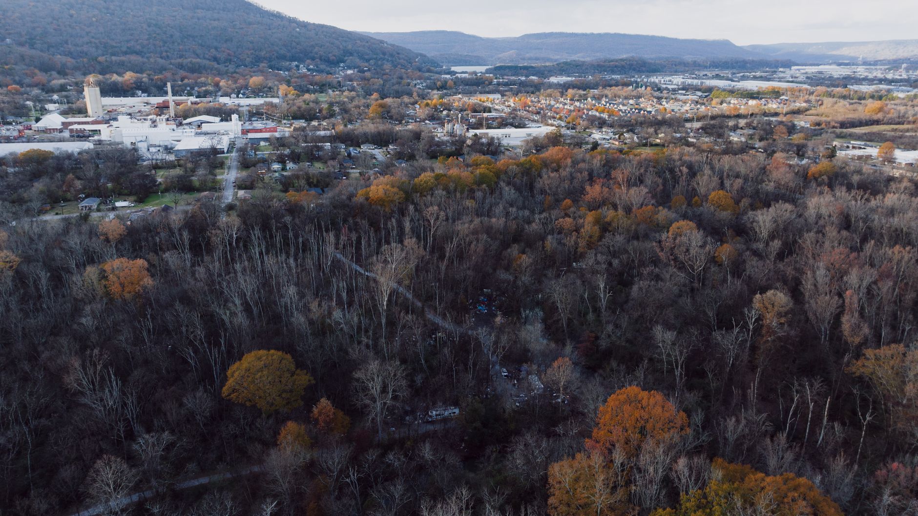 Regional Spotlight: How YAAB Projects Differ Across Tennessee