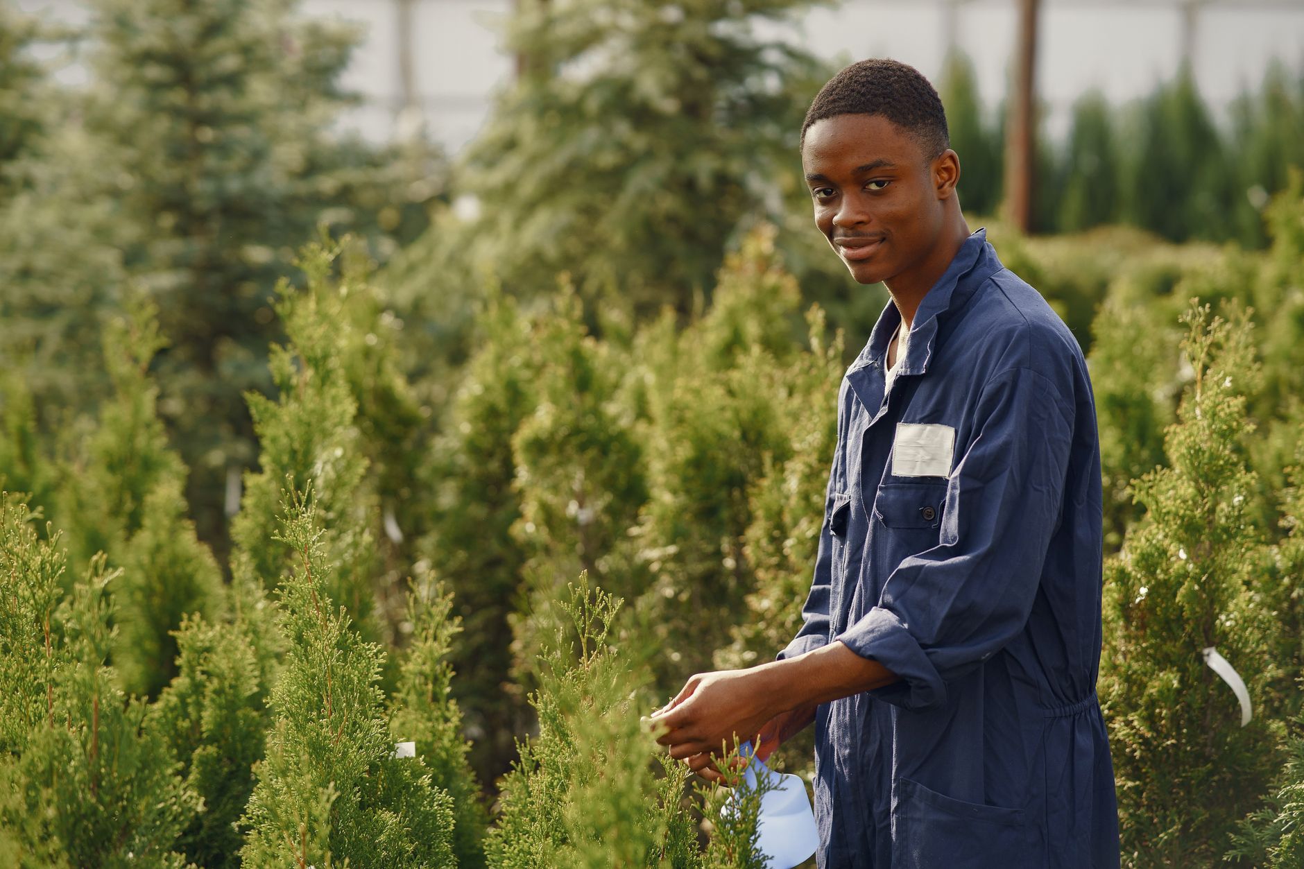 Benefits of Joining YAAB as a Young Adult