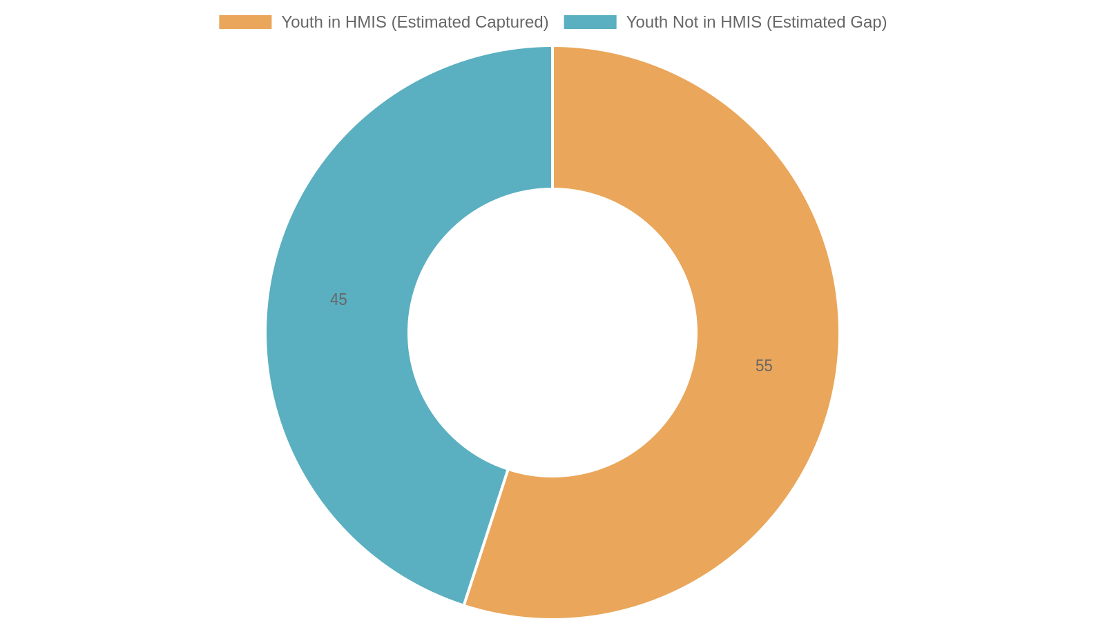 6. Improving HMIS Data and Youth-Centered Reporting Across Tennessee