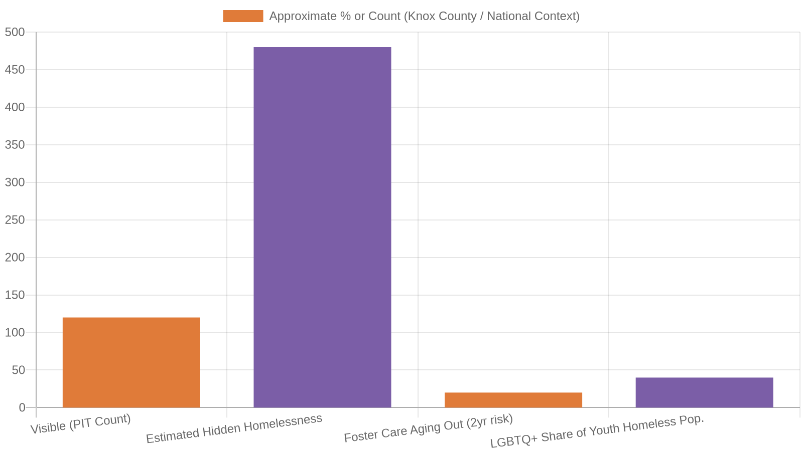 The Scale of Youth Homelessness in Knox County
