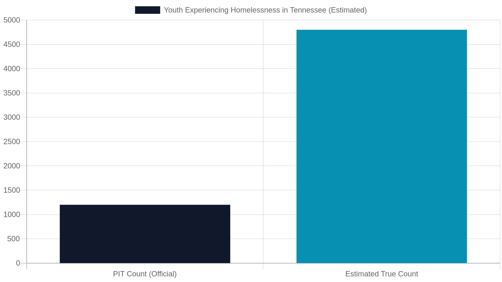 Data and Research Projects: Making Youth Homelessness Visible