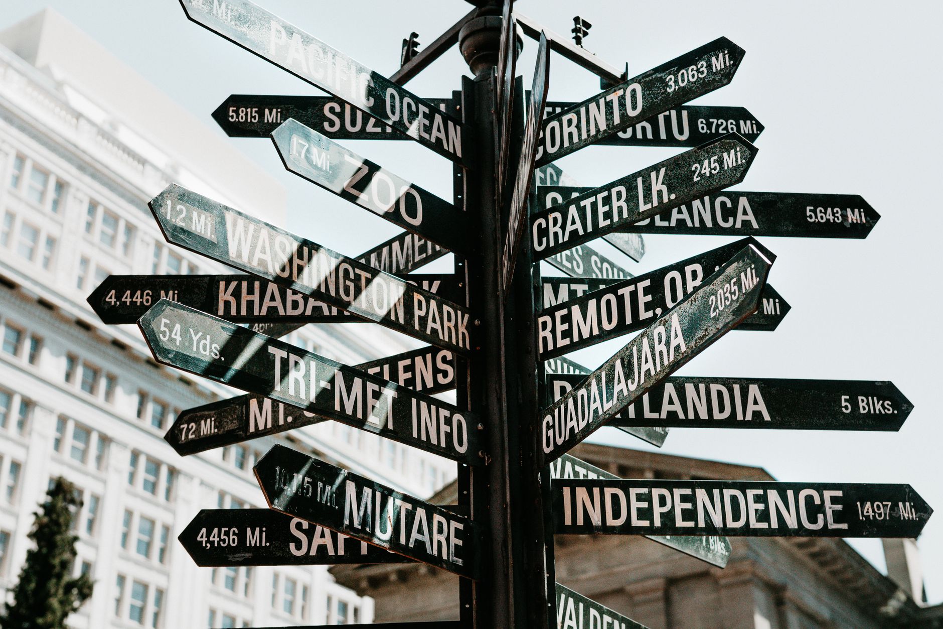 Comparing Advocacy Pathways: Which Route Fits Your Situation?