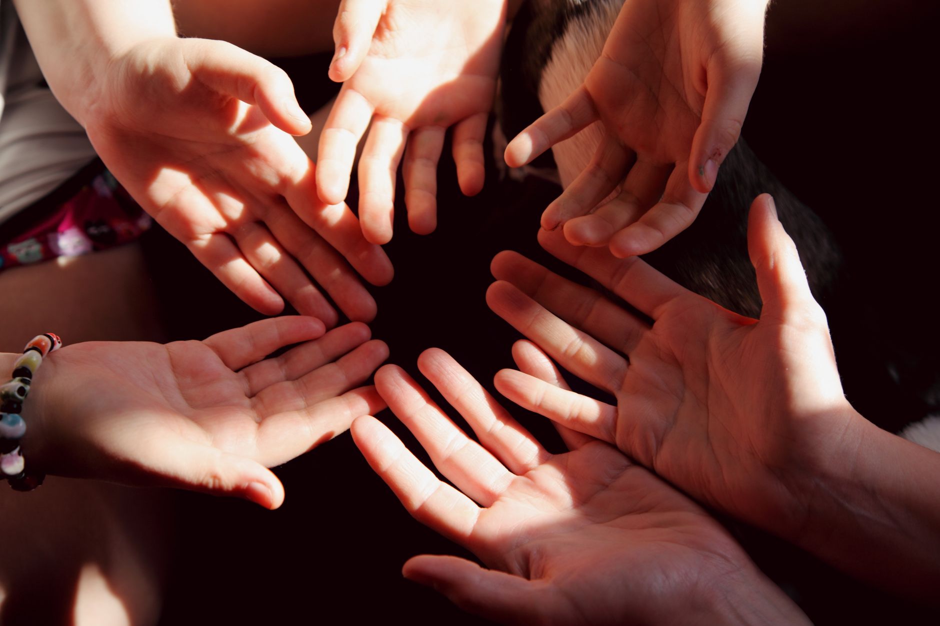 Getting Involved: How to Join Central Tennessee YAAB